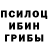 Галлюциногенные грибы Magic Shrooms lew adkins