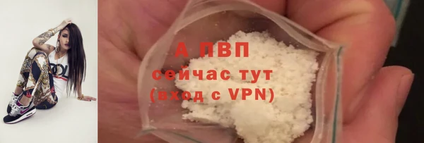 прущие грибы Бугульма