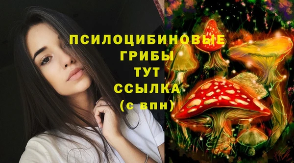 молекула духа Бронницы