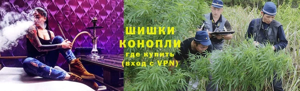 прущие грибы Бугульма