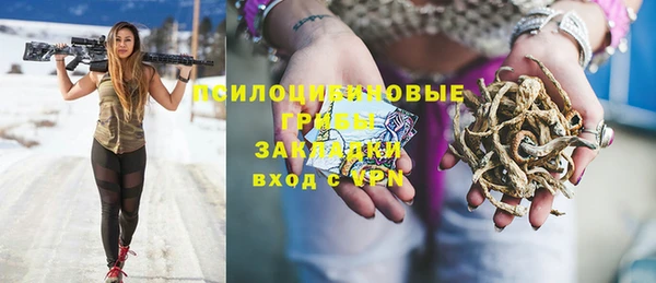 прущие грибы Бугульма